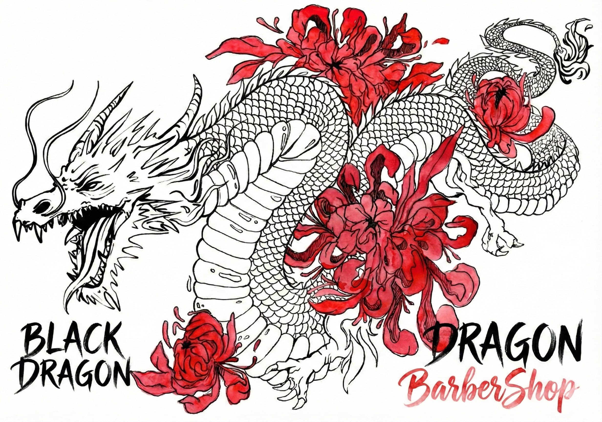 Black Dragon Background